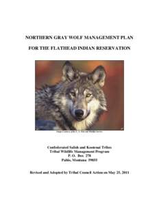 NORTHERN GRAY WOLF MANAGEMENT PLAN FOR THE FLATHEAD INDIAN RESERVATION Image Courtesy of the U. S. Fish and Wildlife Service  Confederated Salish and Kootenai Tribes