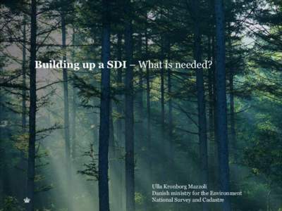 Building up a SDI – What is needed?  Ulla Kronborg Mazzoli Danish ministry for the Environment National Survey and Cadastre