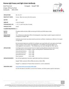 Human IgG-heavy and light chain Antibody Goat Polyclonal Conjugate  DyLight® 488