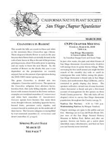 California Native Plant Society / Natural history of California / Non-profit organizations based in California / Ceanothus / Balboa Park / Acanthomintha ilicifolia / San Diego Botanic Garden / San Diego