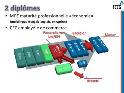  MPE maturité professionnelle «économie» (multilingue français-anglais, en option)  CFC employé-e de commerce   En 1re année