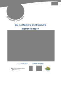 Sea-Ice-Modeling-Observing-Report