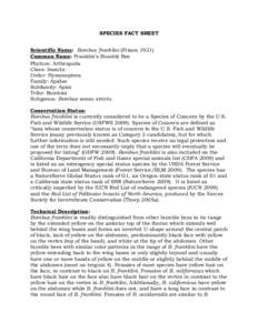 SPECIES FACT SHEET Scientific Name: Bombus franklini (Frison[removed]Common Name: Franklin’s Bumble Bee Phylum: Arthropoda Class: Insecta Order: Hymenoptera