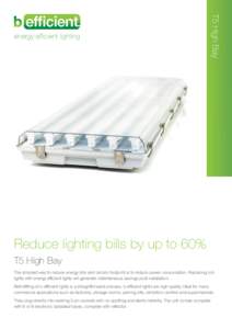 T5 High Bay  energy efficient lighting Reduce lighting bills by up to 60% T5 High Bay