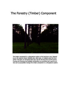 The Forestry (Timber) Component  The timber component in a silvopasture system is the long term crop. Depending on the species chosen (loblolly pine, slash pine, or longleaf pine) the landowner must plan on managing thei