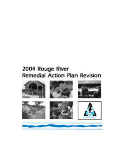 Rouge River Remedial Action Plan Revision[removed]