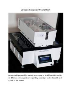 ViroGen Presents: WESTERNER  Automated Western Blot washer; process up to six different blots with six different primary and corresponding secondary antibodies with just a push of the button.