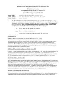 Documentation of Environmental Indicator Determination - McKesson Envirosystems, Syracuse, New York