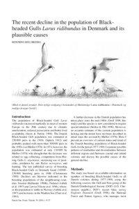 The recent decline in the population of Blackheaded Gulls Larus ridibundus in Denmark and its plausible causes HENNING HELDBJERG