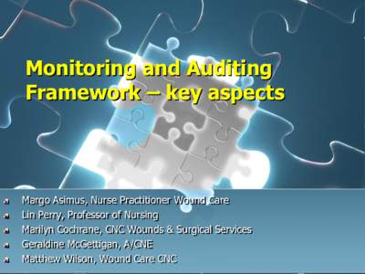 Monitoring and Auditing Framework – key aspects Margo Asimus, Nurse Practitioner Wound Care Lin Perry, Professor of Nursing Marilyn Cochrane, CNC Wounds & Surgical Services