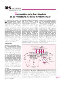 MINI-SYNTHÈSE médecine/sciences 2001 ; 17 : 111-4