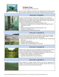 Wetland Types San Juan County Code[removed]San Juan County wetlands are classified by the Washington State Wetlands Rating System categories. Wetlands need to be rated by a qualified wetlands professional.  WETLAND CAT