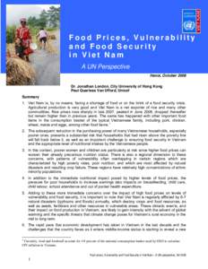 Economics / Development / Poverty / United Nations Development Group / Biofuels / World food price crisis / Food security / Vietnam / Agriculture / Food politics / Humanitarian aid / Food and drink