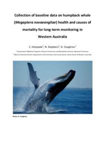 Collection of baseline data on humpback whale (Megaptera novaeangliae) health and causes of mortality for long-term monitoring in Western Australia C. Holyoake1, N. Stephens1, D. Coughran2 1