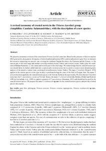 A revised taxonomy of crested newts in the Triturus karelinii group (Amphibia: Caudata: Salamandridae), with the description of a new species