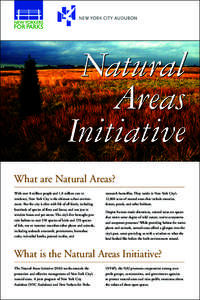 Natural Areas Initiative What are Natural Areas? With over 8 million people and 1.8 million cars in residence, New York City is the ultimate urban environment. But the city is alive with life of all kinds, including