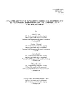 Evaluating potential exposures to ecological receptors due to transport of hydrophobic organic contaminants in subsurface systems