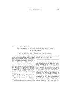 Birds of North America / Everglades / Eudocimus / Flooded grasslands and savannas / American White Ibis / Great Blue Heron / Cattle Egret / Little Blue Heron / Bird nest / Zoology / Ornithology / Wading birds