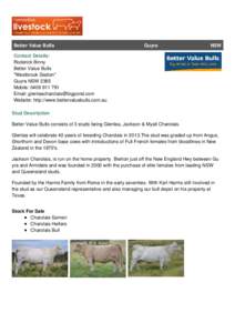 Guyra /  New South Wales / Stud / Charolais /  France / Threaded rod / Agriculture / Charolais cattle / Cattle / Bull