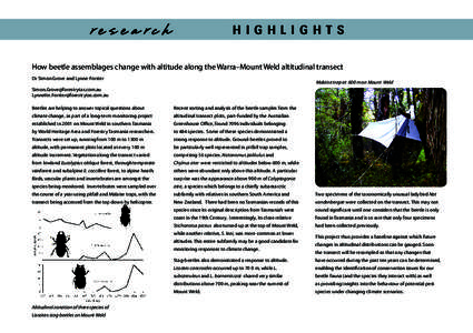 Transect / Biology / Altitudinal zonation / Stichonotus / Pitfall trap / Zoology / Environmental statistics / Beetle / Environment