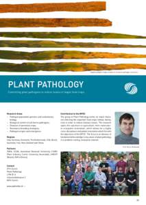 Applying digital image analysis to measure pathogen virulence.  PLANT PATHOLOGY Research Areas –– Pathogen population genetics and evolutionary