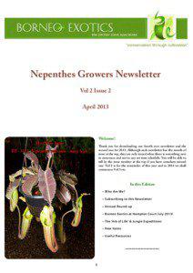 Nepenthes Growers Newsletter Vol 2 Issue 2 April 2013