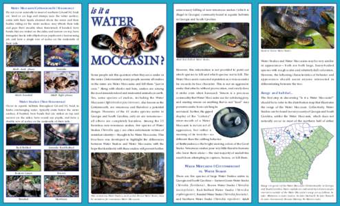 Water Moccasin/Cottonmouth (Venomous) Do not occur naturally in most of northern GA and SC; bask on land or on logs and stumps near the water surface; swim with their heads elevated above the water and their bodies ridin