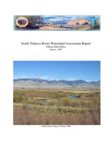 South Tobacco Roots Watershed Assessment Report Dillon Field Office January, 2007 South Tobacco Roots, October 2006