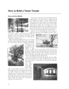 How to Build a Taoist Temple Arny and Amy Mindell 64  CHRISTOPHER MCMULLEN