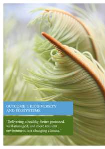 OUTCOME 1: BIODIVERSITY AND ECOSYSTEMS ‘Delivering a healthy, better protected, well-managed, and more resilient environment in a changing climate.’