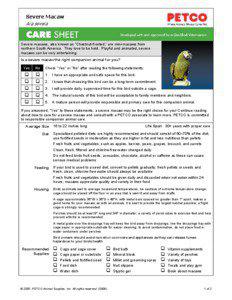 Severe Macaw Ara severa