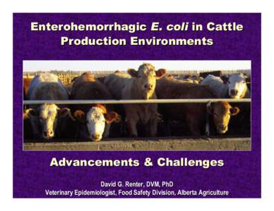 Enterohemorrhagic E. coli in Cattle Production Environments Advancements & Challenges David G. Renter, DVM, PhD Veterinary Epidemiologist, Food Safety Division, Alberta Agriculture