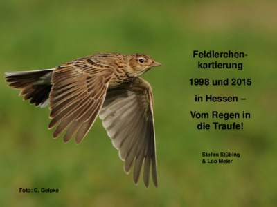 HGON-HerbsttagungFeldlerche in Hessen: Vom Regen in die Traufe Feldlerchenkartierung 1998 und 2015