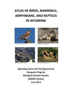 ATLAS OF BIRDS, MAMMALS, AMPHIBIANS, AND REPTILES IN WYOMING USFWS National Digital Library