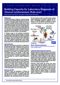 Tropical diseases / Visceral leishmaniasis / Euglenozoa / Leishmaniasis / Cutaneous leishmaniasis / Médecins Sans Frontières / Leishmania / Splenomegaly / Medical laboratory / Medicine / Microbiology / Biology