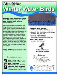 Ornithology / Wenatchee – East Wenatchee metropolitan area / Wenatchee /  Washington / National Audubon Society / EBird / Pete Dunne / Birdwatching / Leisure / Human behavior