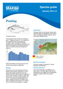 Species guide January 2014 v4 Pouting Distribution