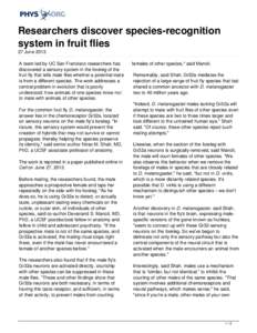 Researchers discover species-recognition system in fruit flies