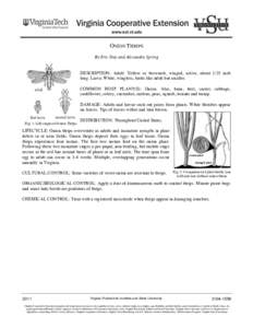 ONION THRIPS By Eric Day and Alexandra Spring DESCRIPTION: Adult: Yellow or brownish, winged, active, about 1/25 inch long. Larva: White, wingless, looks like adult but smaller. COMMON HOST PLANT(S): Onion. Also, bean, b