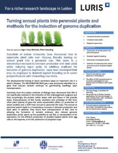 For a richer research landscape in Leiden  Turning annual plants into perennial plants and methods for the induction of genome duplication Key benefits