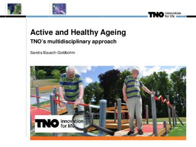 Active and Healthy Ageing TNO’s multidisciplinary approach Sandra Bausch-Goldbohm 2 August 20, 2012