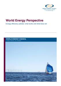 For sustainable energy.  World Energy Perspective Energy efficiency policies: what works and what does not  WORLD ENERGY COUNCIL