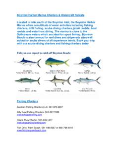 Boynton Harbor Marina Charters & Watercraft Rentals Located ½ mile south of the Boynton Inlet, the Boynton Harbor Marina offers a multitude of water activities including fishing charters, drift fishing, scuba diving cha