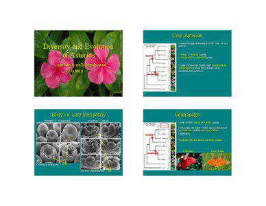 Core Asterids  Diversity and Evolution