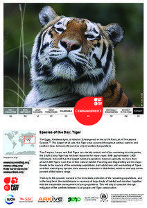 © Alex Sliwa  Species of the Day: Tiger