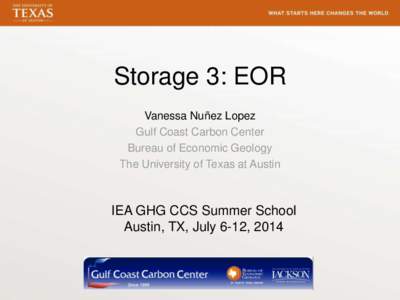 Storage 3: EOR Vanessa Nuñez Lopez Gulf Coast Carbon Center Bureau of Economic Geology The University of Texas at Austin