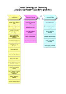 Overall Strategy for Executing Awareness Initiatives and Programmes Plan & Assess  Execute & Manage