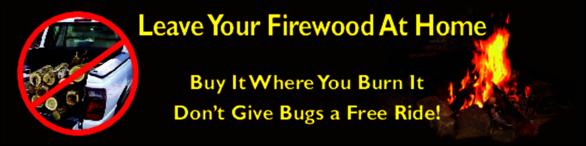 Leave Your Firewood at Home, Buy It Where You Burn It