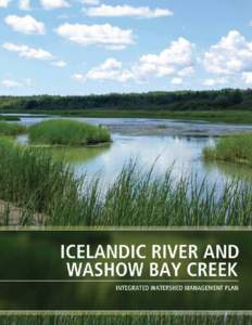 EXECUTIVE SUMMARY The Icelandic River and Washow Bay Creek watershed management plan was developed as a partnership 1.