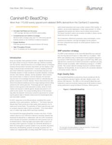 Data Sheet: DNA Genotyping  CanineHD BeadChip More than 170,000 evenly spaced and validated SNPs derived from the CanFam2.0 assembly. CanineDH BeadChip Highlights •	 Unrivaled Call Rates and Accuracy: